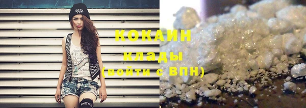 ПСИЛОЦИБИНОВЫЕ ГРИБЫ Вязники