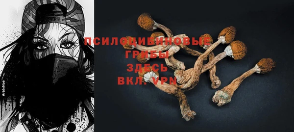 стаф Вяземский
