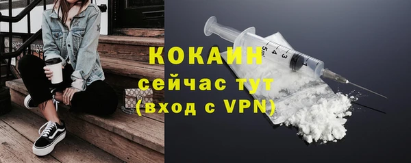 ПСИЛОЦИБИНОВЫЕ ГРИБЫ Вязники