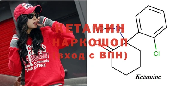 стаф Вяземский