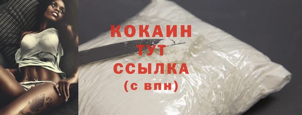 ПСИЛОЦИБИНОВЫЕ ГРИБЫ Вязники