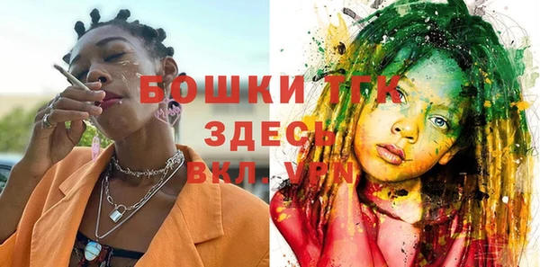 ПСИЛОЦИБИНОВЫЕ ГРИБЫ Вязники