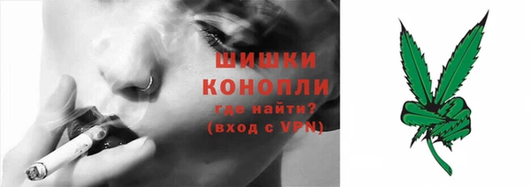 сатива Вязьма