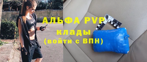 сатива Вязьма