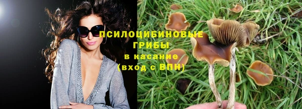 сатива Вязьма