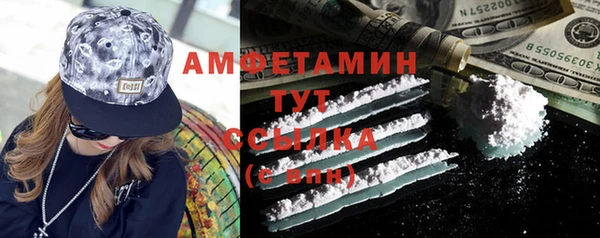 ПСИЛОЦИБИНОВЫЕ ГРИБЫ Вязники