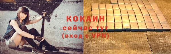ПСИЛОЦИБИНОВЫЕ ГРИБЫ Вязники