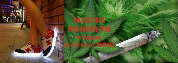 стаф Вяземский