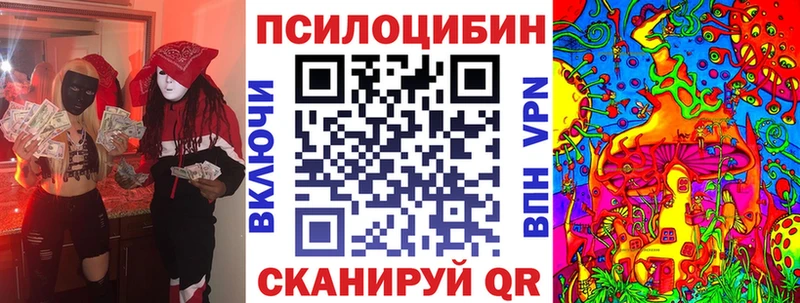 Псилоцибиновые грибы мицелий  Черкесск 
